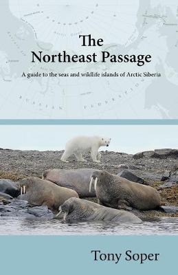 Book cover for The Northeast Passage