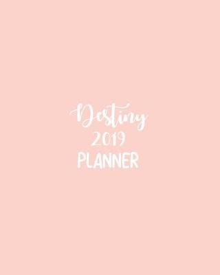 Book cover for Destiny 2019 Planner