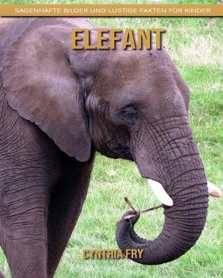 Book cover for Elefant