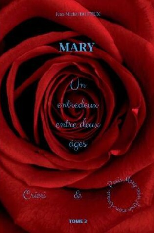 Cover of Mary, Tome 3