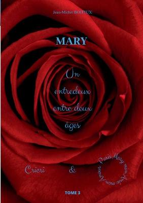 Book cover for Mary, Tome 3