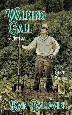 Book cover for Walking Gall