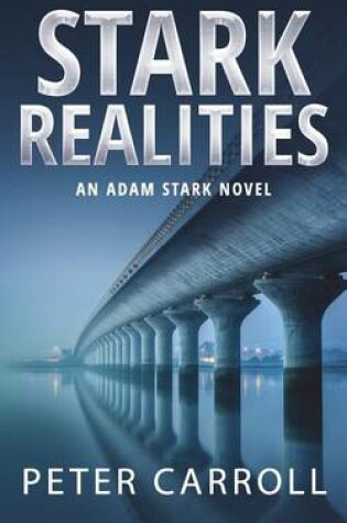 Cover of Stark Realities