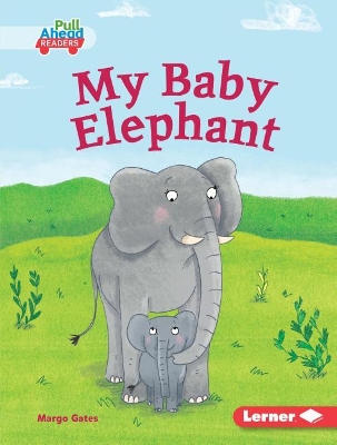 Book cover for My Baby Elephant