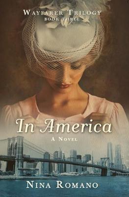 Book cover for In America