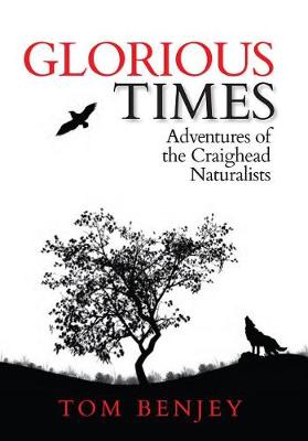 Book cover for Glorious Times