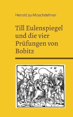 Book cover for Till Eulenspiegel und die vier Prüfungen von Bobitz