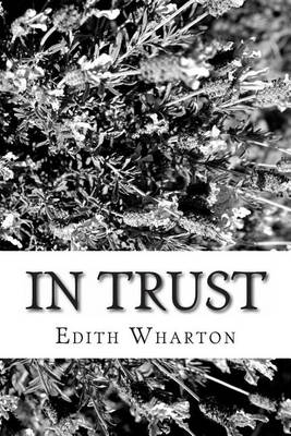 Book cover for In Trust