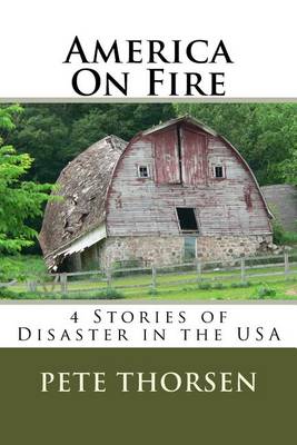 Book cover for America On Fire