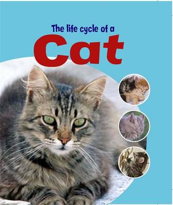 Cover of Learning About Life Cycles: The Life Cycle of A Cat