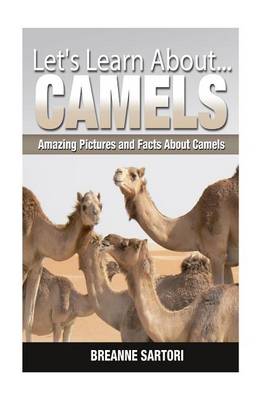 Book cover for Camels