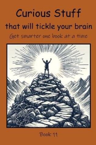 Cover of Curious Stuff that will Tickle your Brain