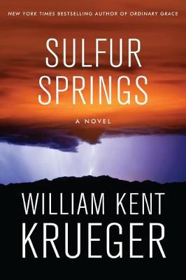 Book cover for Sulfur Springs