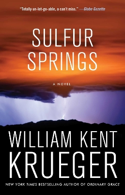 Book cover for Sulfur Springs