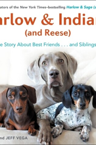 Cover of Harlow & Indiana (and Reese)