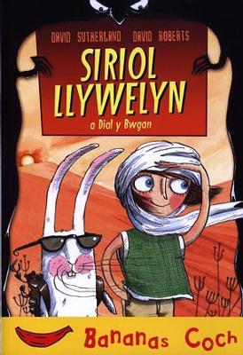 Book cover for Cyfres Bananas Coch: Siriol Llywelyn a Dial y Bwgan