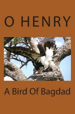 Cover of A Bird Of Bagdad