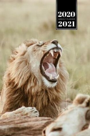 Cover of Lion Week Planner Weekly Organizer Calendar 2020 / 2021 - Wide Mouth