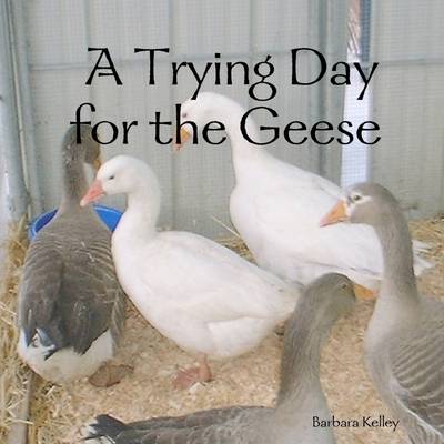 Book cover for A Trying Day for the Geese