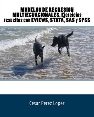 Book cover for Modelos de Regresion Multiecuacionales. Ejercicios Resueltos Con Eviews, Stata, SAS y SPSS