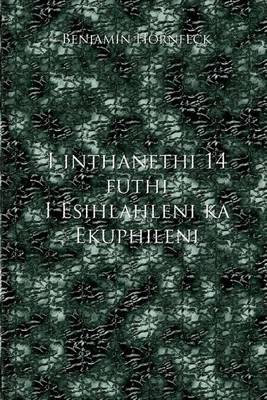 Book cover for I Inthanethi 14 Futhi I Esihlahleni Ka Ekuphileni