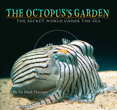 Book cover for The Octopus's Garden