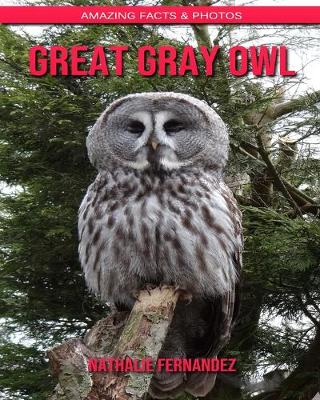 Book cover for Great Gray Owl