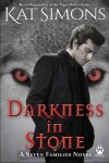 Book cover for Darkness in Stone