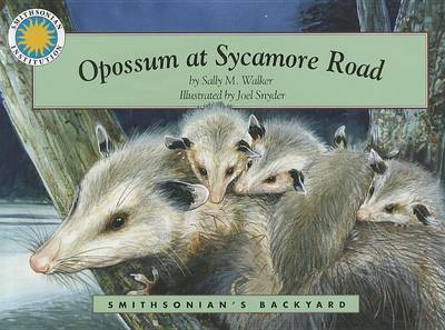 Cover of Opossum at Sycamore Road