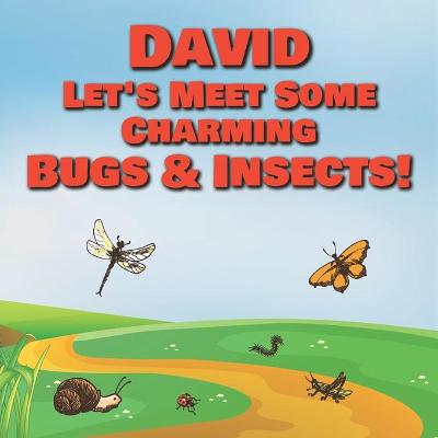 Book cover for David Let's Meet Some Charming Bugs & Insects!