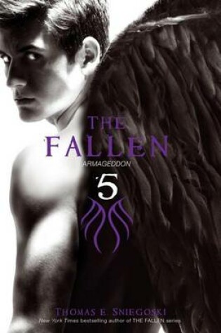 Cover of The Fallen 5