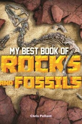 Cover of My Best Book of Rocks and Fossils