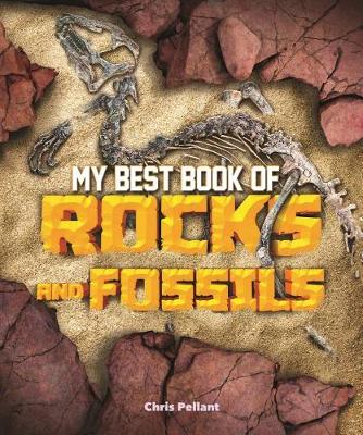 Cover of My Best Book of Rocks and Fossils