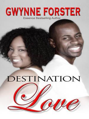 Book cover for Destination Love