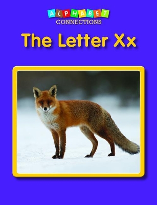 Book cover for The Letter XX