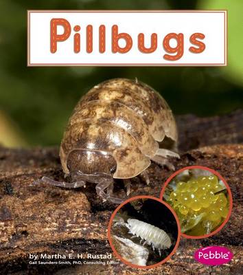 Book cover for Pillbugs