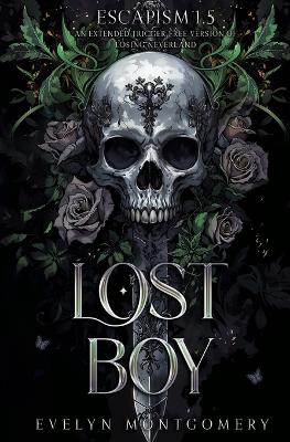 Book cover for Lost Boy