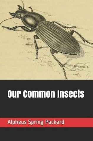 Cover of Our Common Insects