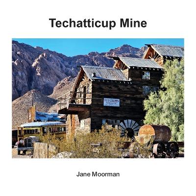 Book cover for Techatticup Mine