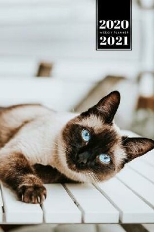 Cover of Siamese Cat Kitten Kitty Tomcat Week Planner Organizer 2020 / 2021 - Lie Around