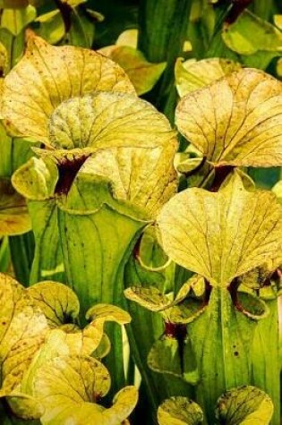 Cover of Carnivorous Pitcher Plant Journal