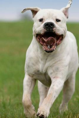 Book cover for The Dogo Argentino Dog Journal