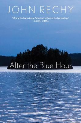 Book cover for After the Blue Hour