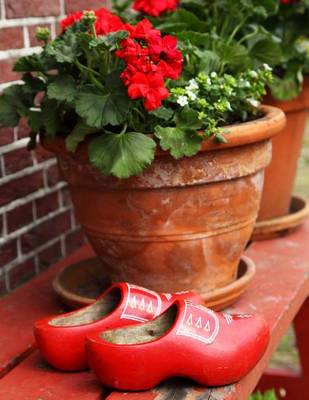 Book cover for Jumbo Oversized Red Clogs and Planters on a Bench in Holland