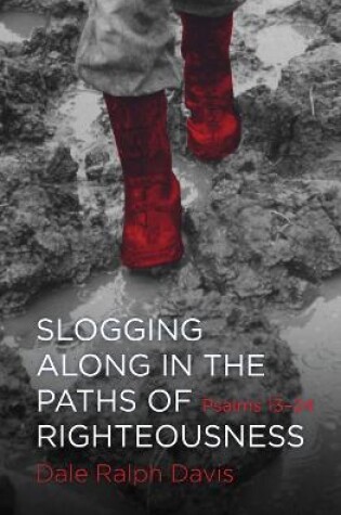 Cover of Slogging Along in the Paths of Righteousness
