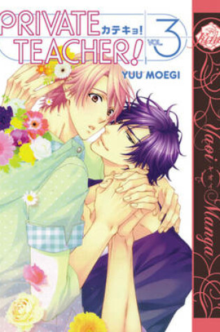 Private Teacher Volume 3 (Yaoi)