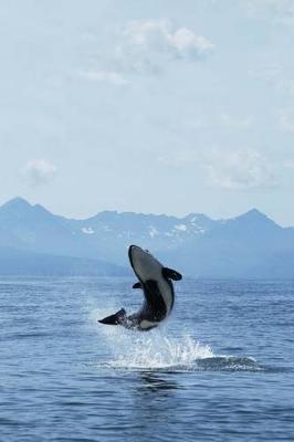 Book cover for Orca Killer Whale Jumping Out of the Water Journal