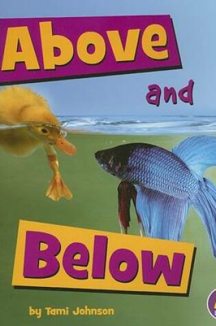 Cover of Above and Below