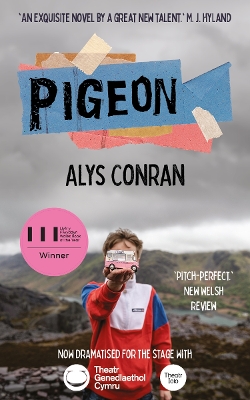 Book cover for Pigeon