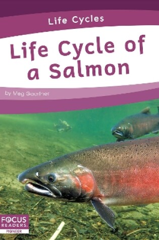 Cover of Life Cycle of a Salmon